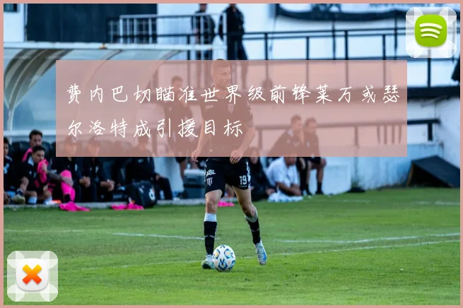 费内巴切瞄准世界级前锋莱万或瑟尔洛特成引援目标