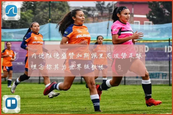 内德维德盛赞加斯佩里尼攻势足球理念称其为世界级教练